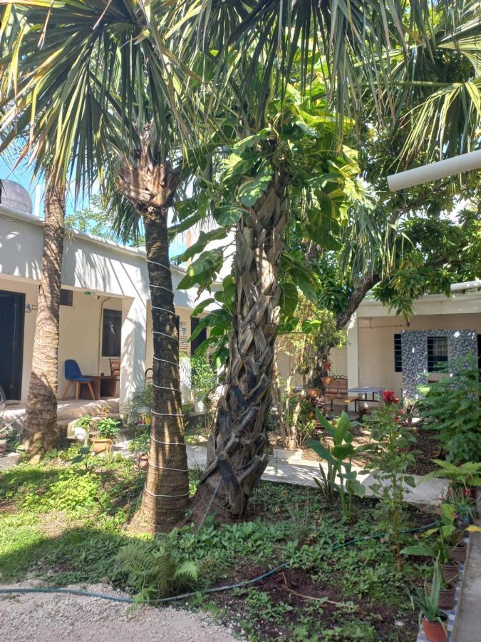 Bea Rooms And Studios Cozumel Luaran gambar