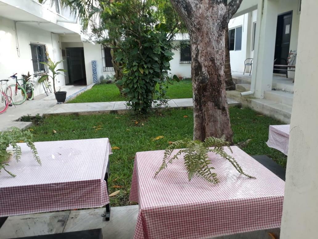 Bea Rooms And Studios Cozumel Luaran gambar